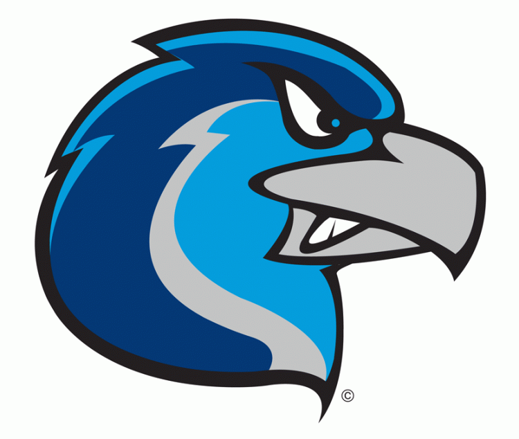 Rockford Riverhawks 2007-Pres Alternate Logo iron on transfers for clothing